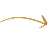image vector